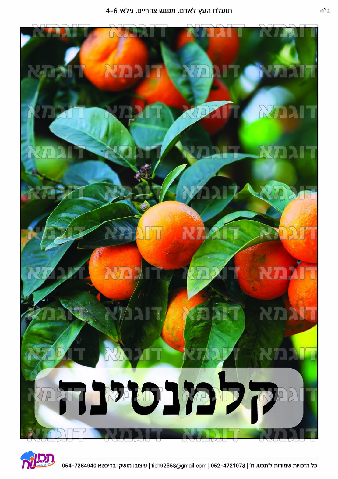 קבצי עזר לתכנונוח חלק 6
