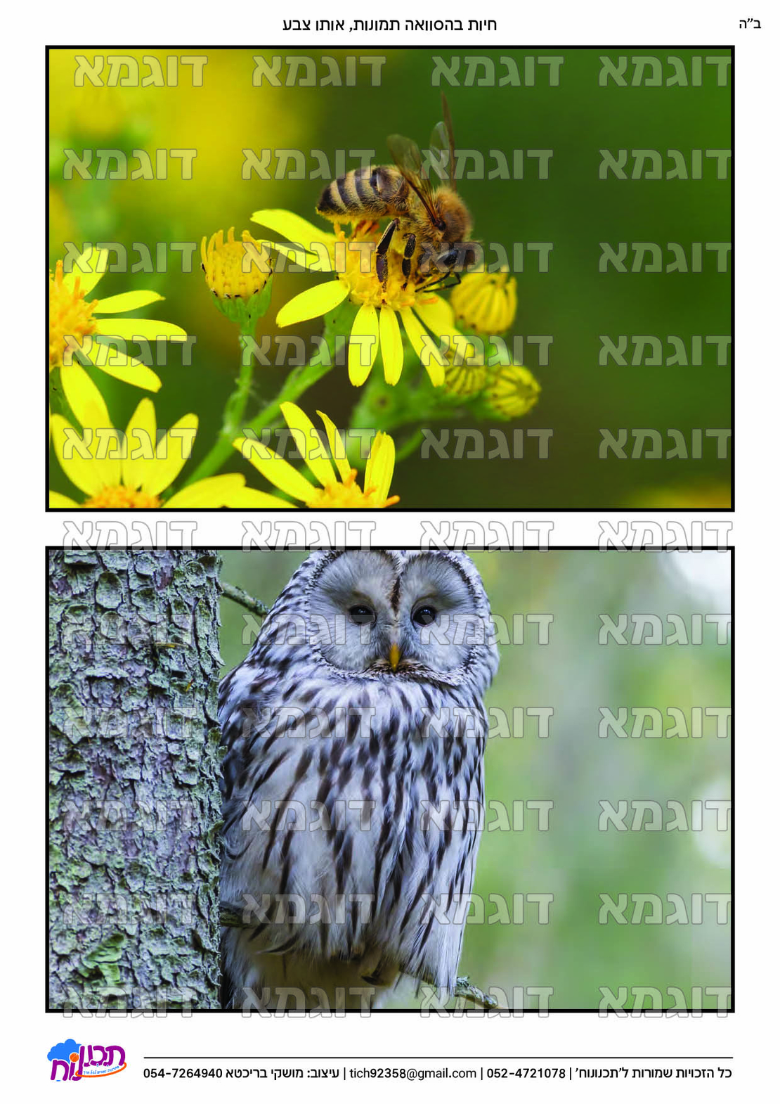קבצי עזר לתכנונוח חלק 7
