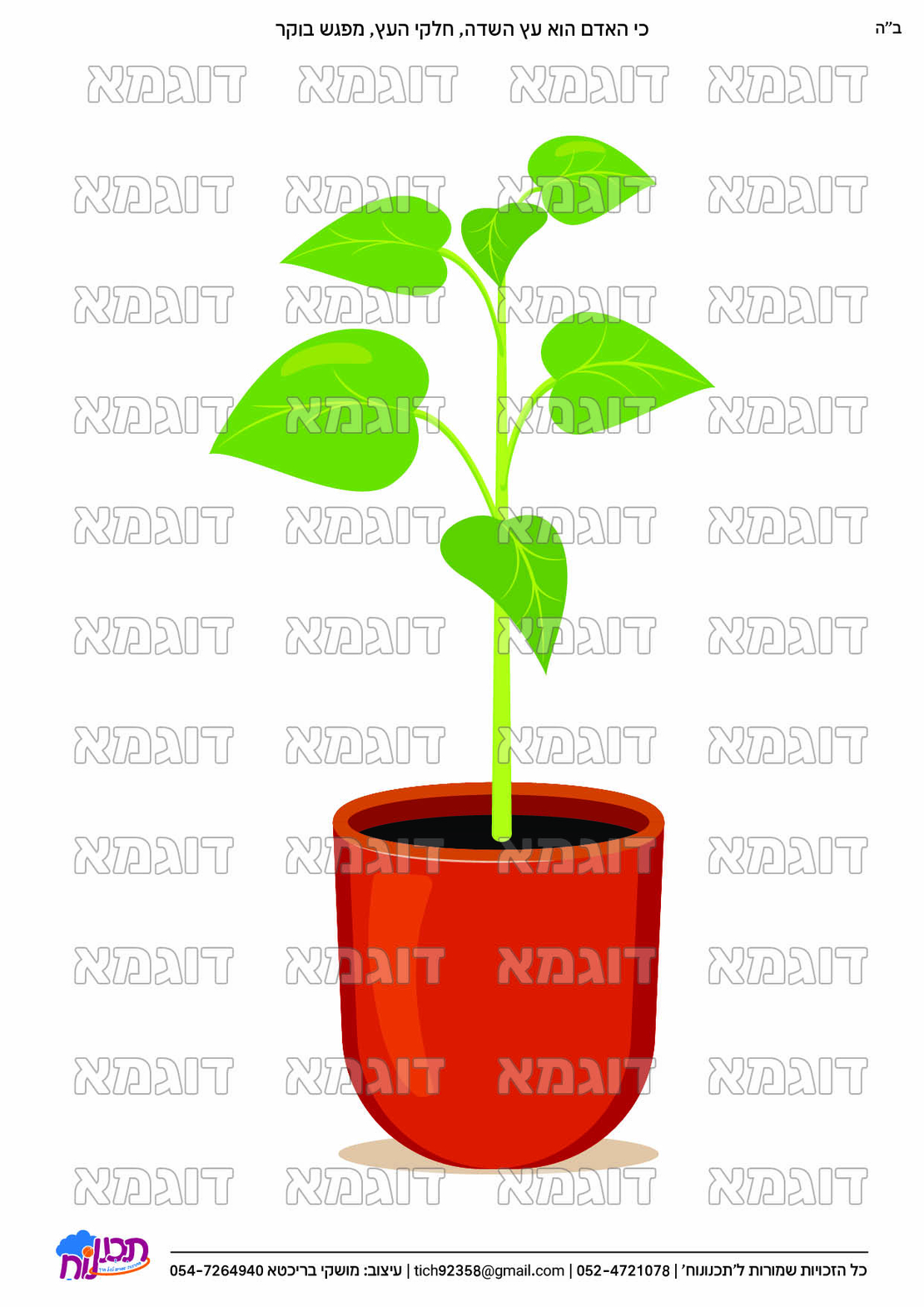 קבצי עזר לתכנונוח חלק 6