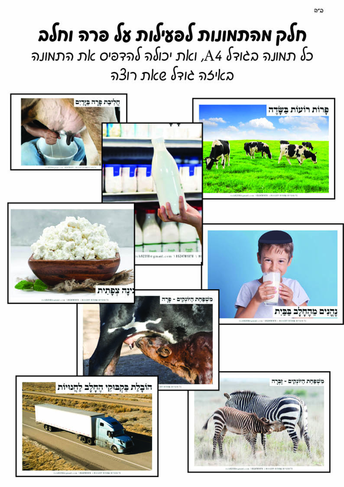 מאגר תמונות לחוברת טבע חלק ד'
