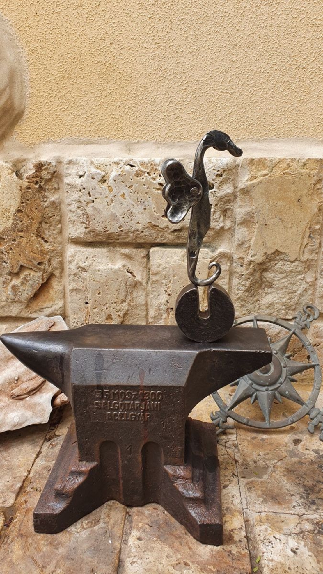 סוסון ים