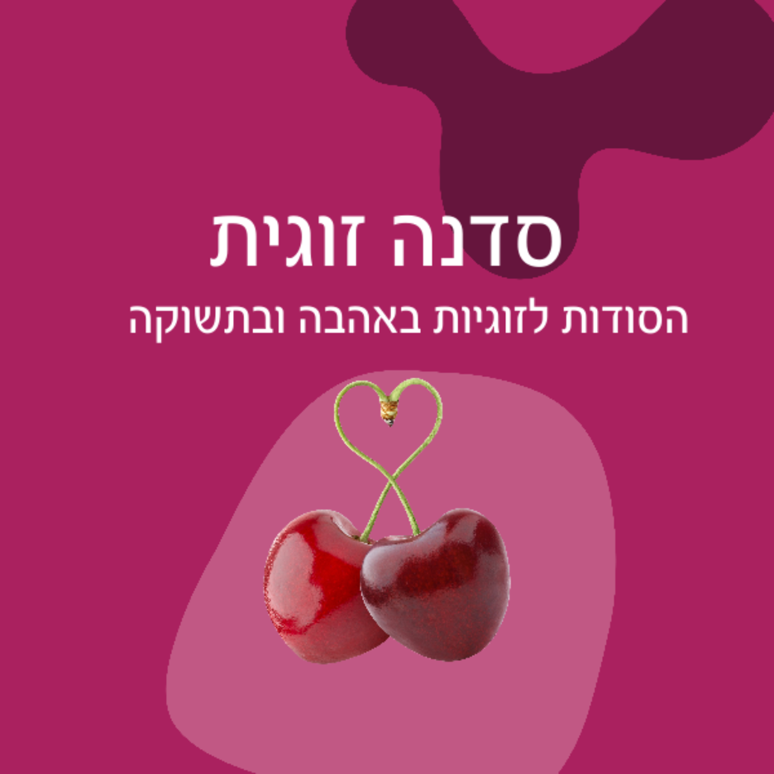 סדנה זוגית