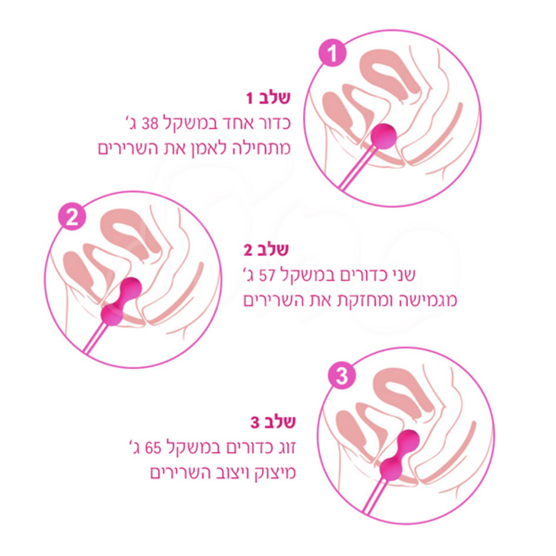 סט אימון כדורי קיגל