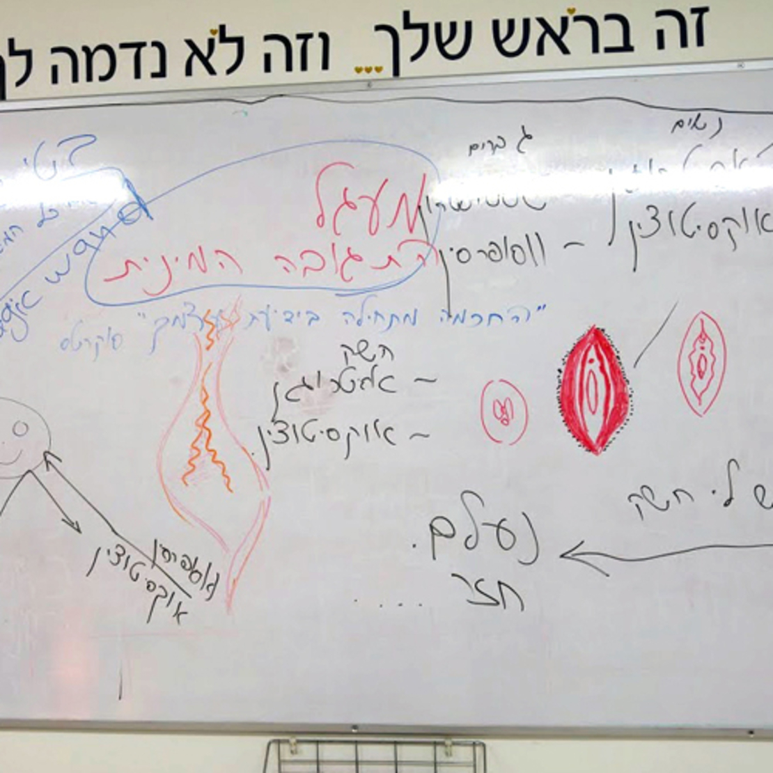 מעגל נשים