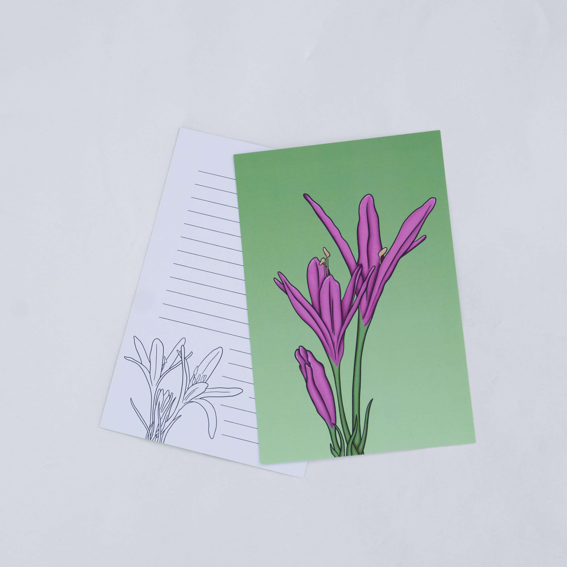 Autumn Crocus Postcards (Set of 10)