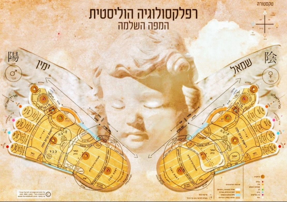 המפה הרפלקסולוגית השלמה 2024