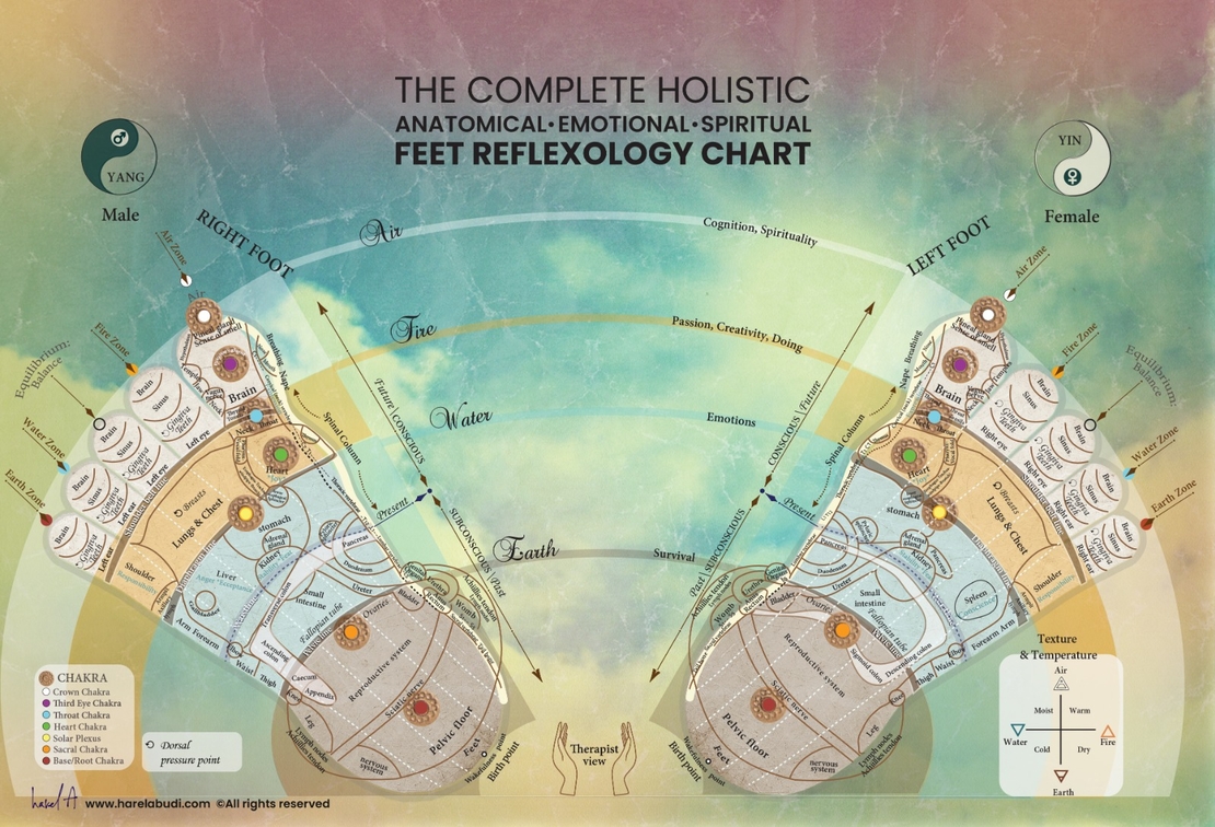 הרצאה : רפלקסולוגיה הוליסטית מפת האוצר של כפות הרגליים