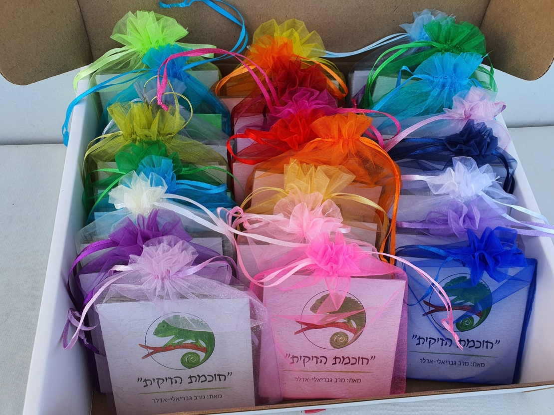 חוכמת הזיקית