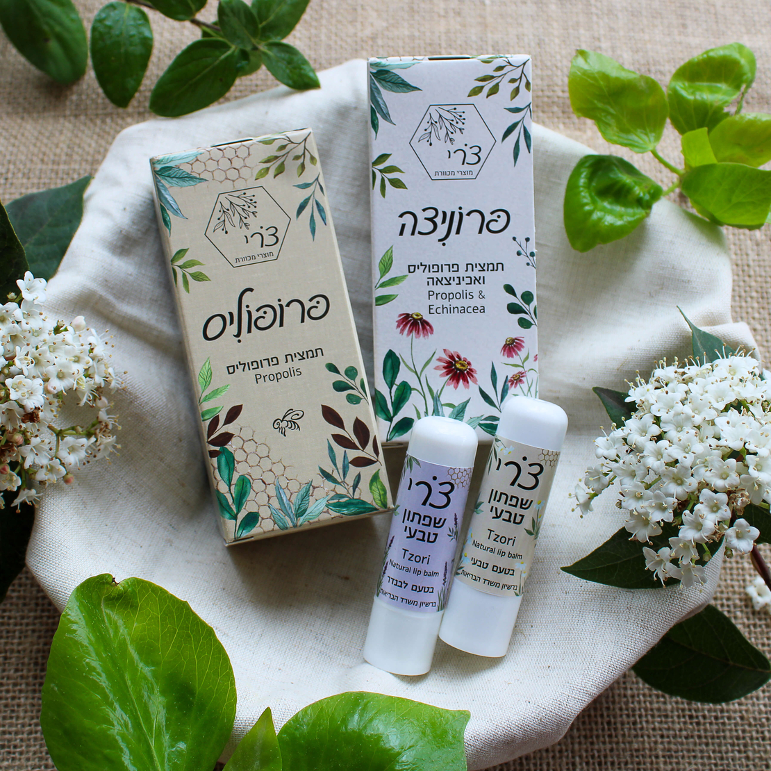 מארזי אביב- תמציות