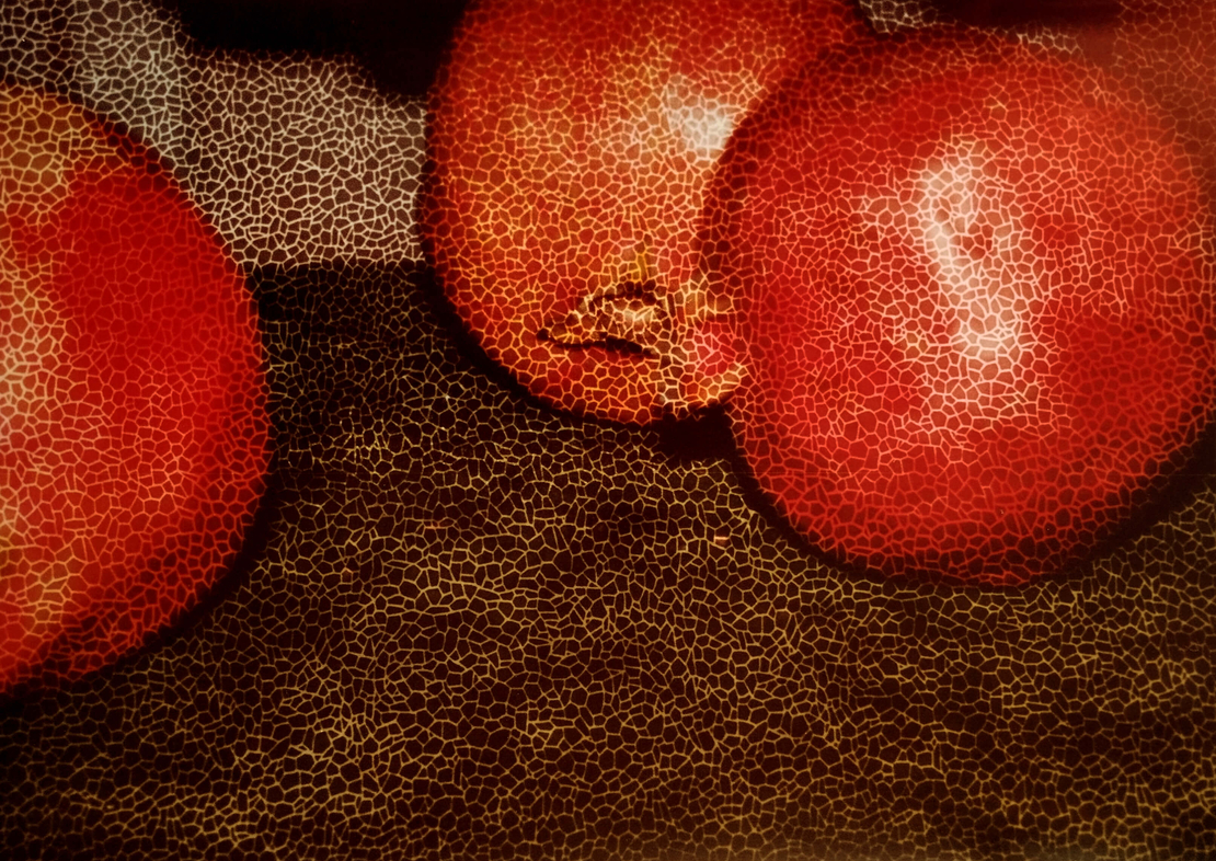 צילום - POMEGRANATE