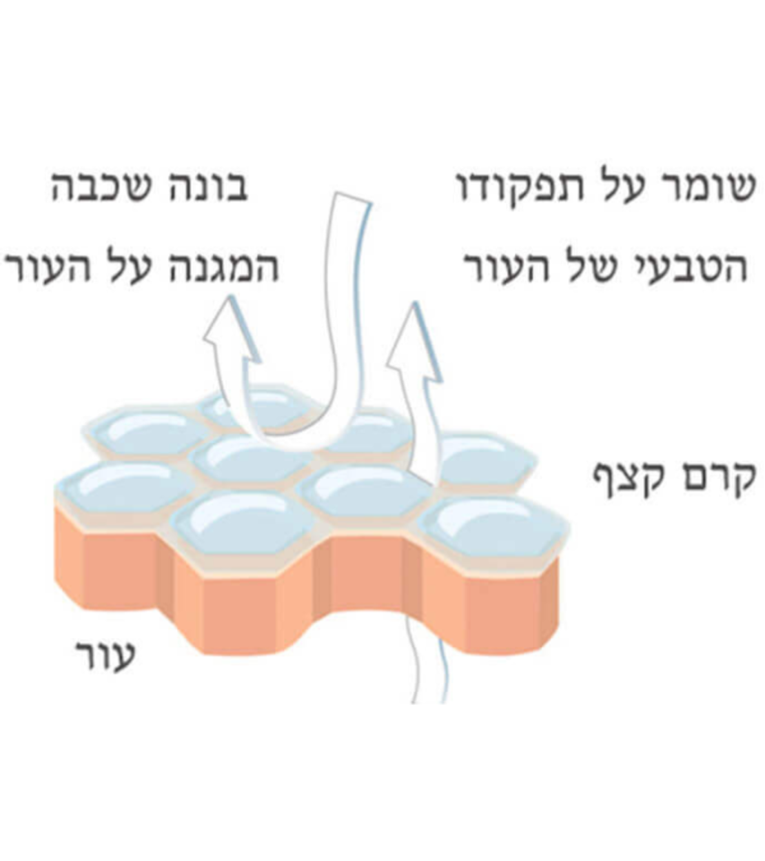 אלפרסן דיאבטיק אינטנסיב - קרם קצף לכף רגל סוכרתית