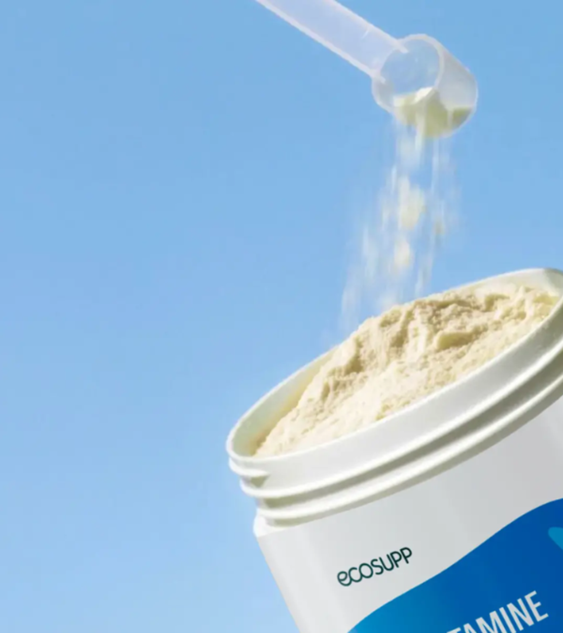 L-GLUTAMINE & INULIN | ל-גלוטמין ואינולין