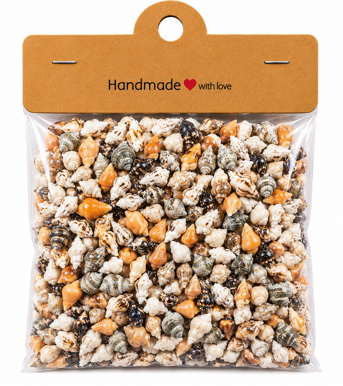 מארז צדפים טבעיים קטנים ליצירה ועיצוב – 600pcs Mini Natural Sea Shells Set