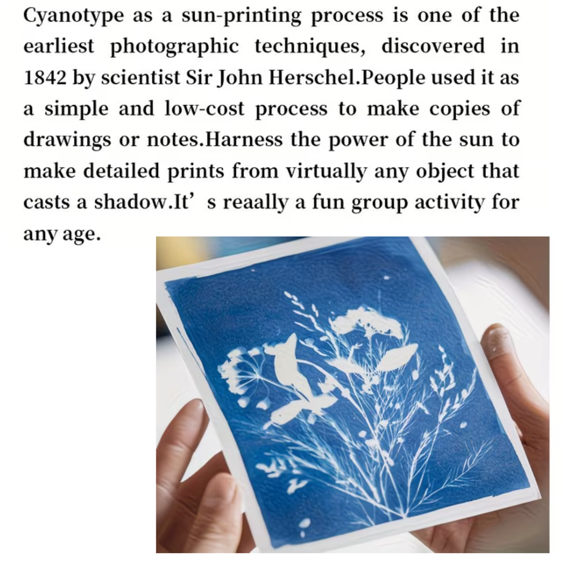 ערכת Cyanotype Pro – אבקות להדפסי שמש אומנותיים (Sun Print Kit)