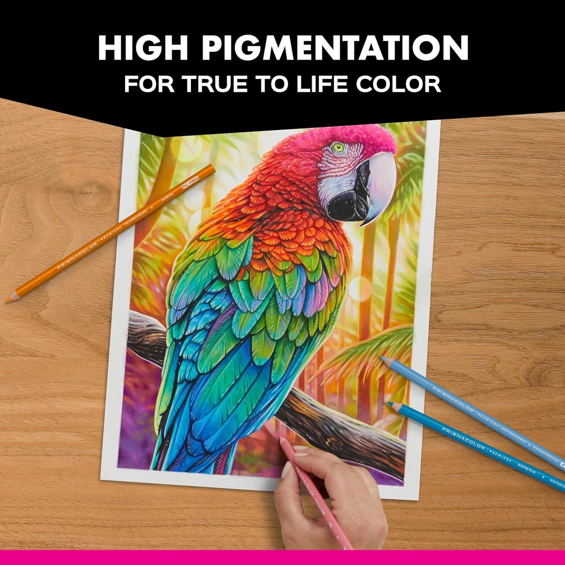 עפרונות ציור פריזמה קולור סט 12 Prismacolor Premier Soft Core