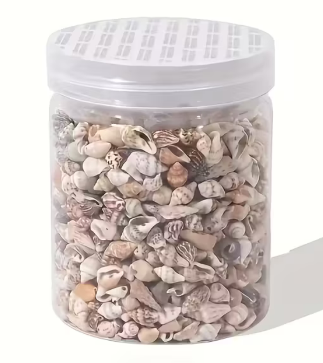 צדפות ים טבעיות לקישוט (כ-400 יחידות בצנצנת זכוכית)