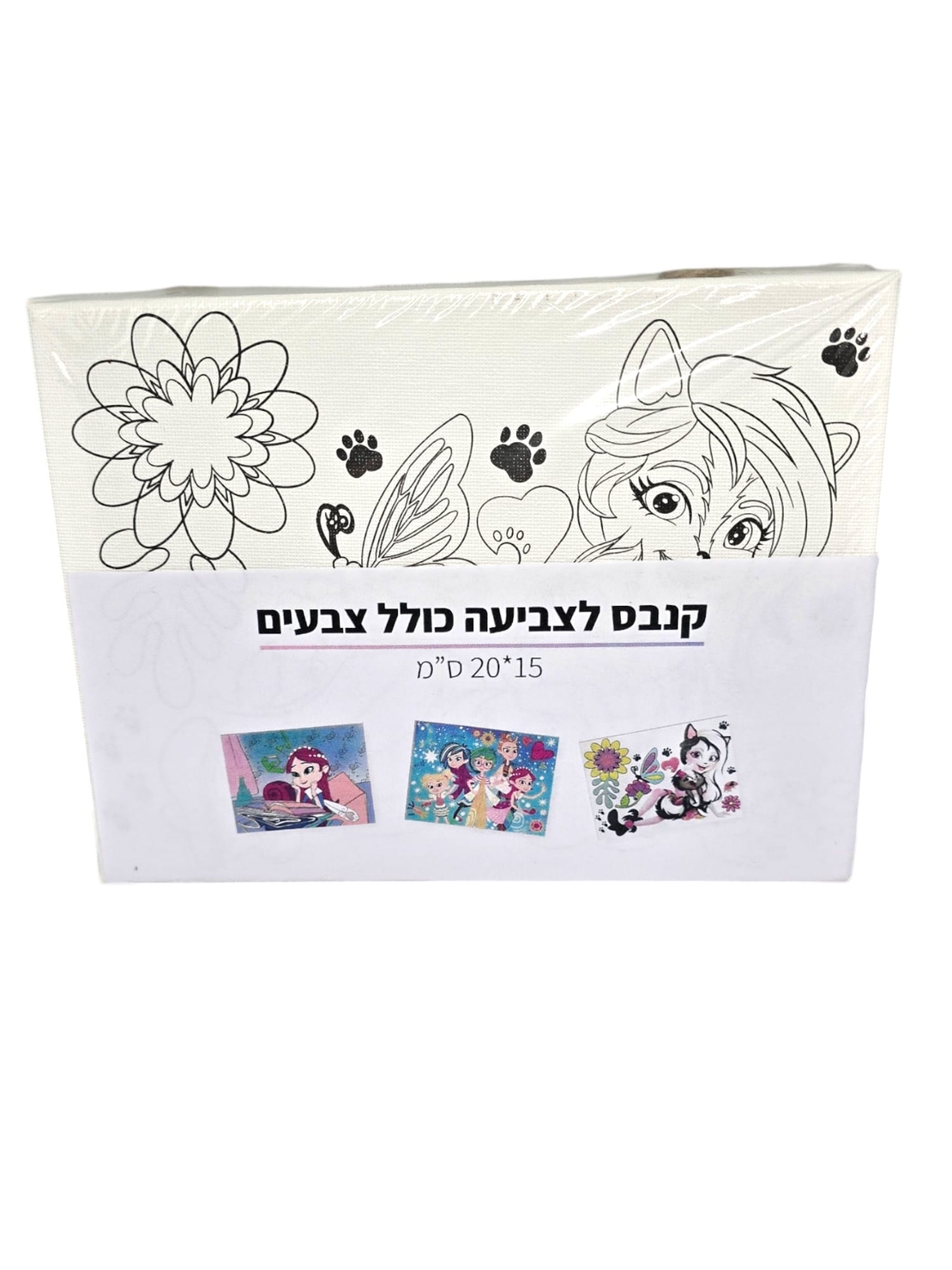 קנבס לצביעה - ערכת קנבס לצביעה מחוברים בחבל כולל צבעים ומכחול 20*15 סמ - נסיכות