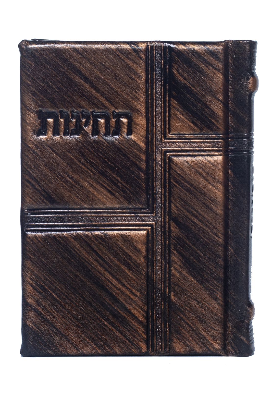 תחינות-דגם 55