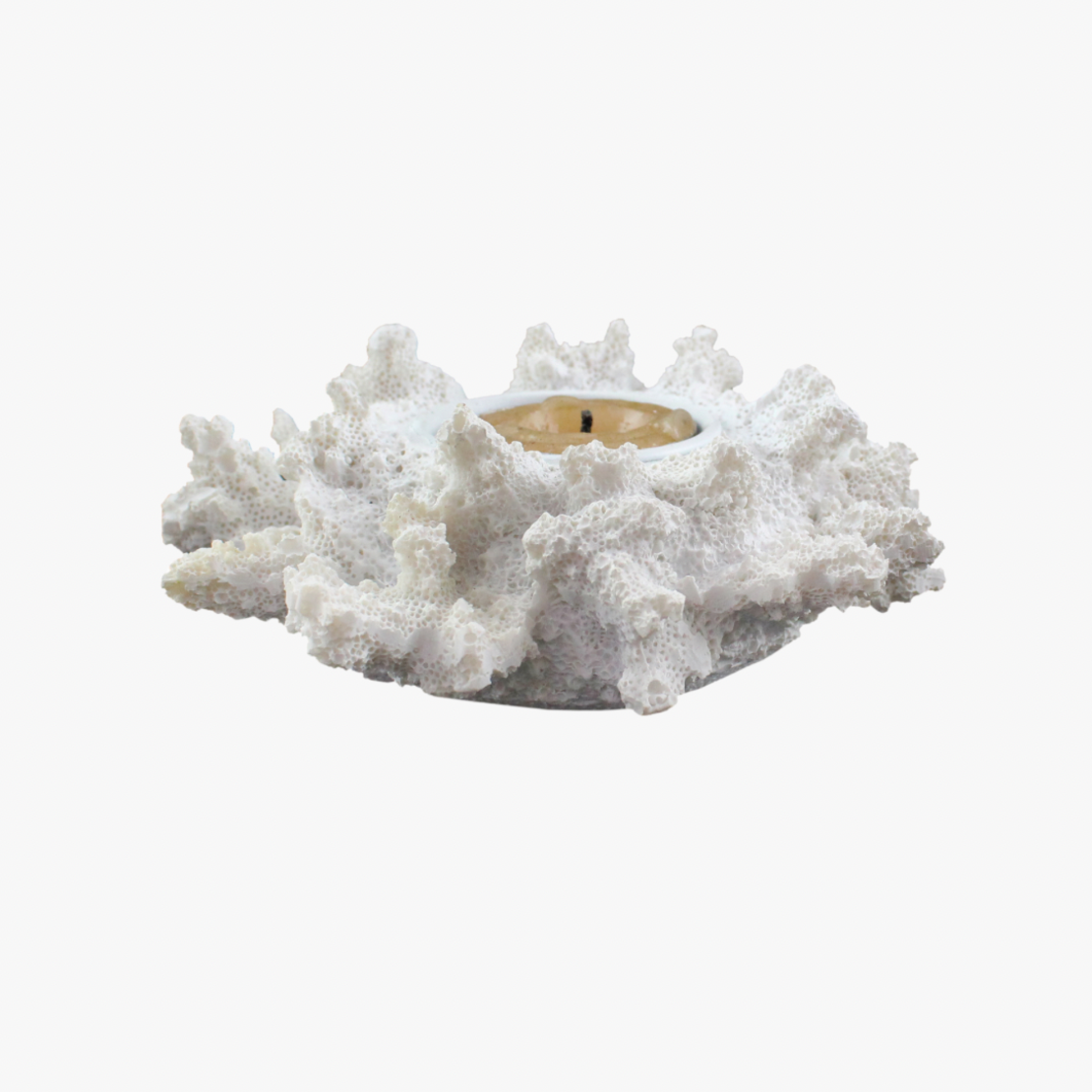 פמוט קורל יחיד