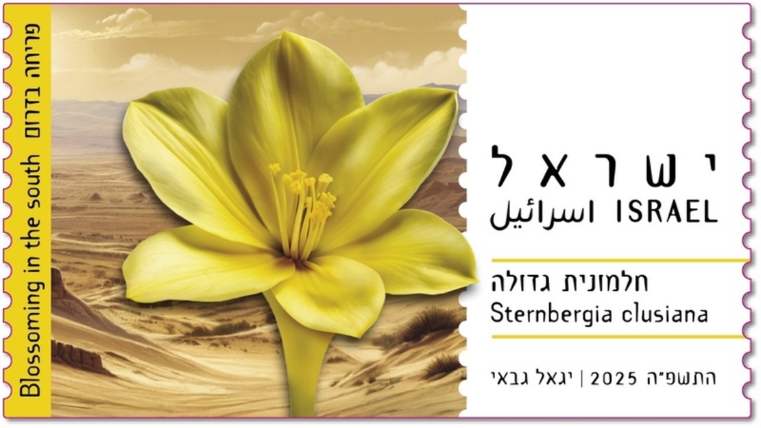 סט תויות - פריחה בדרום, חלמונית גדולה