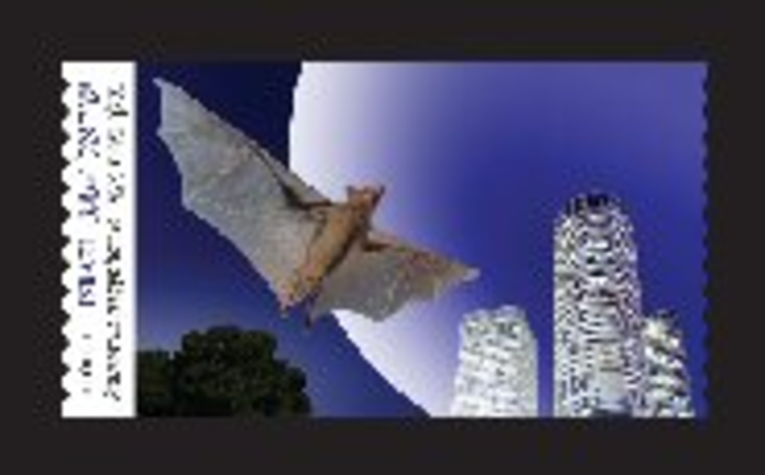 סט תוויות בולים - דוארמט עטלף פרות מצוי