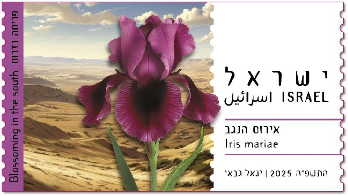 סט תויות - פריחה בדרום, אירוס הנגב