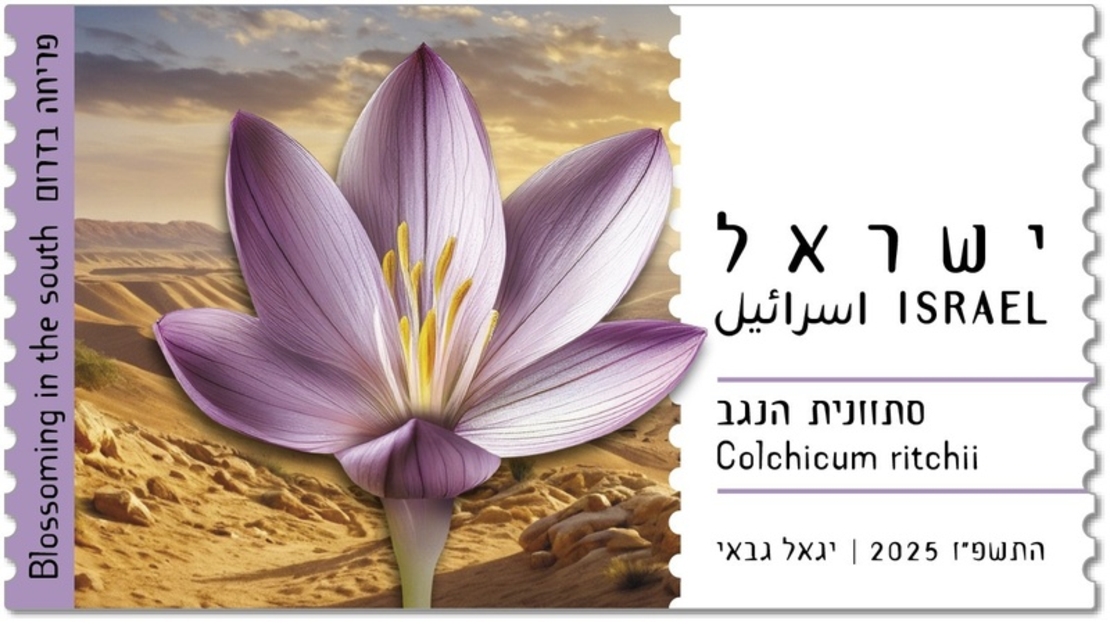 תויות דוארמט - פריחה בדרום, סתונית הנגב