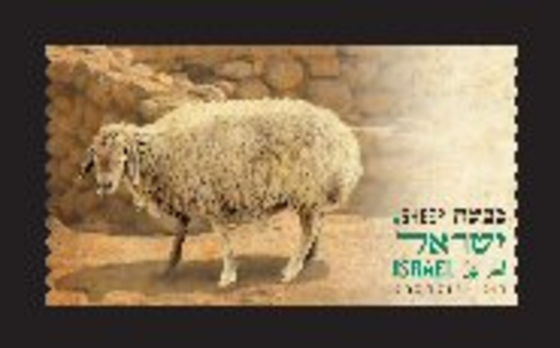 תוויות בוליםדוארמט - בעלי חיים מהתנ