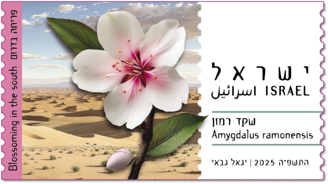 סט תוויות - פריחה בדרום, שקד רמון