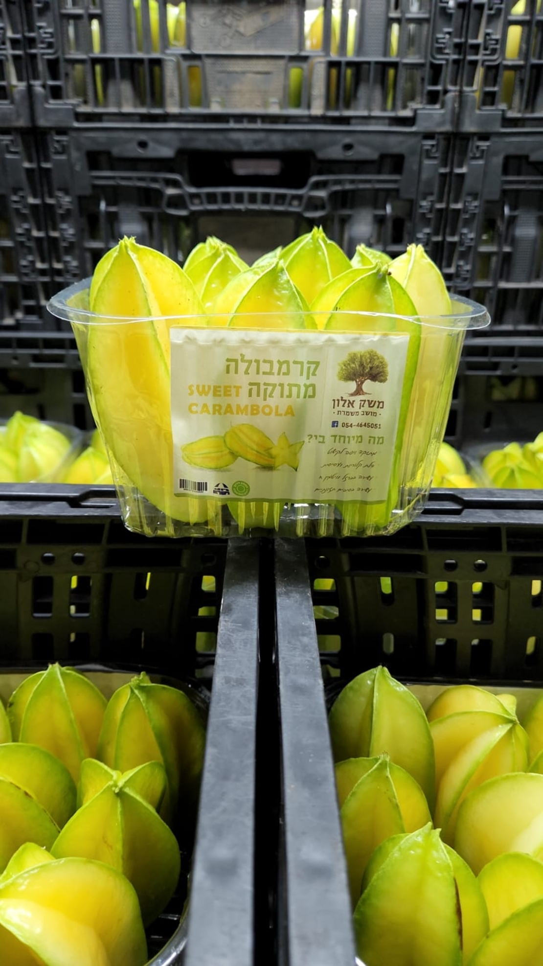 קרמבולה