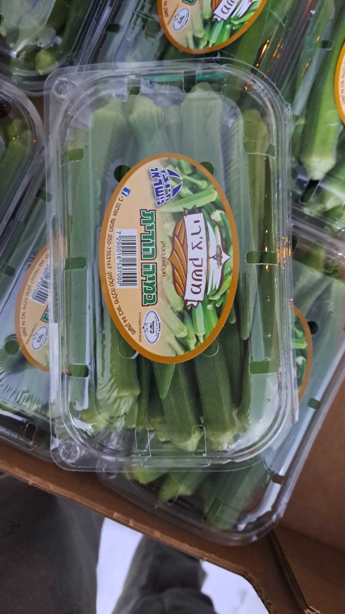 במיה הודית