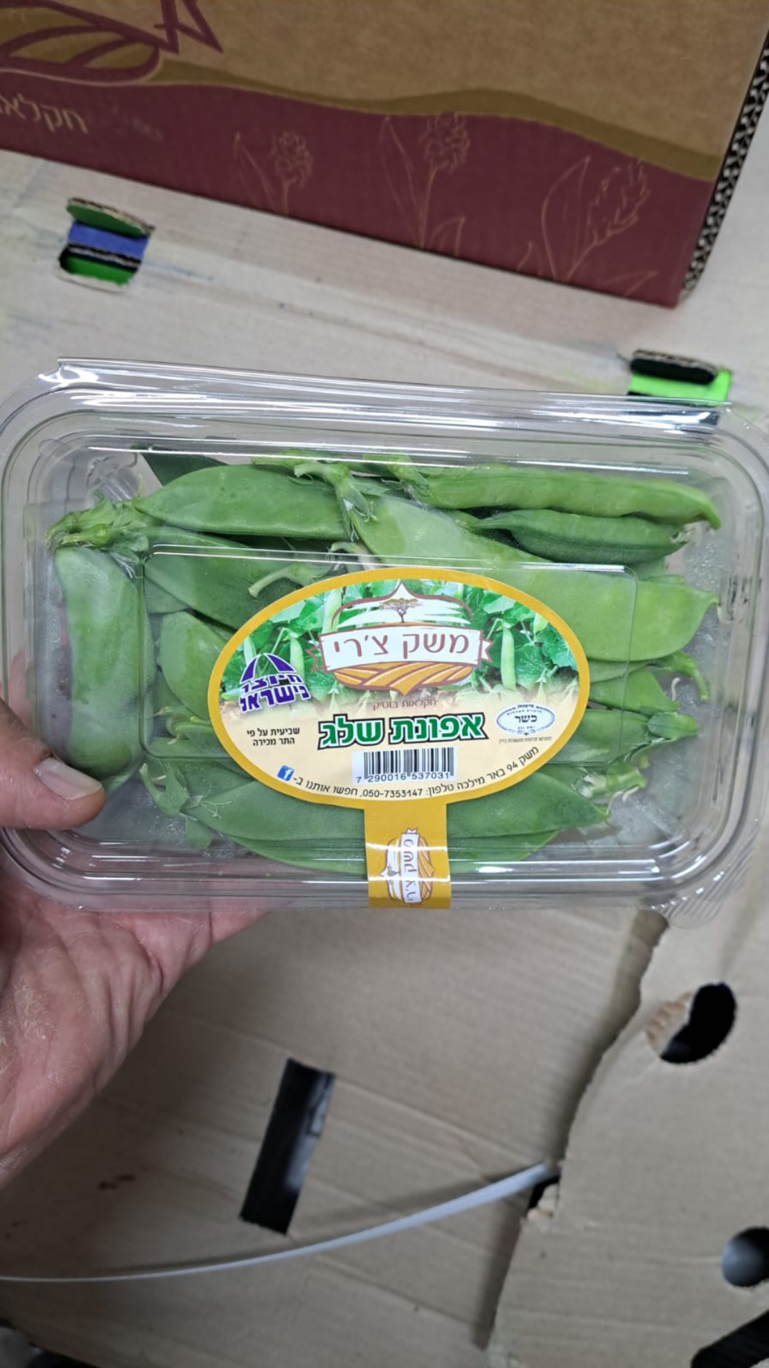 אפונת שלג