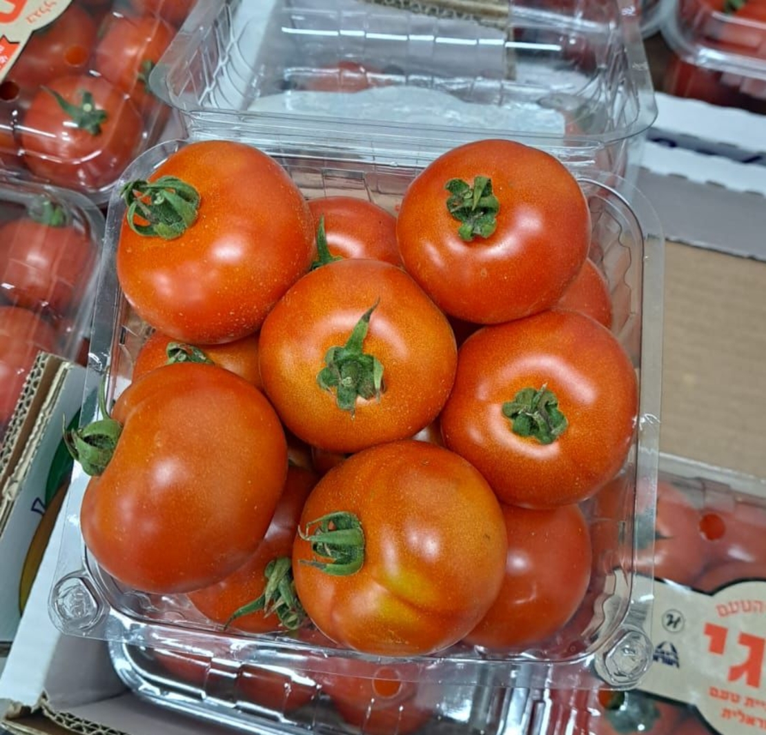 עגבניות מגי