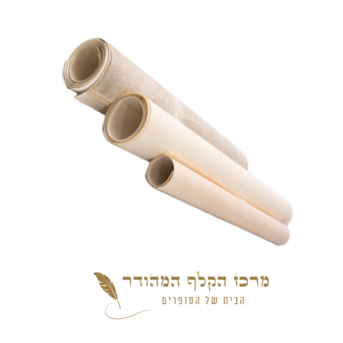 יריעה ספר תורה גודל 48 ס