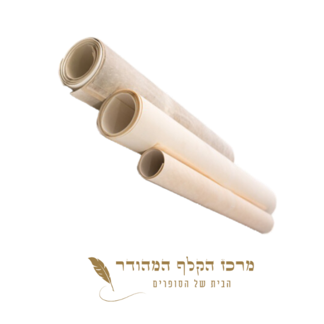 יריעה ספר תורה גודל 56 ס