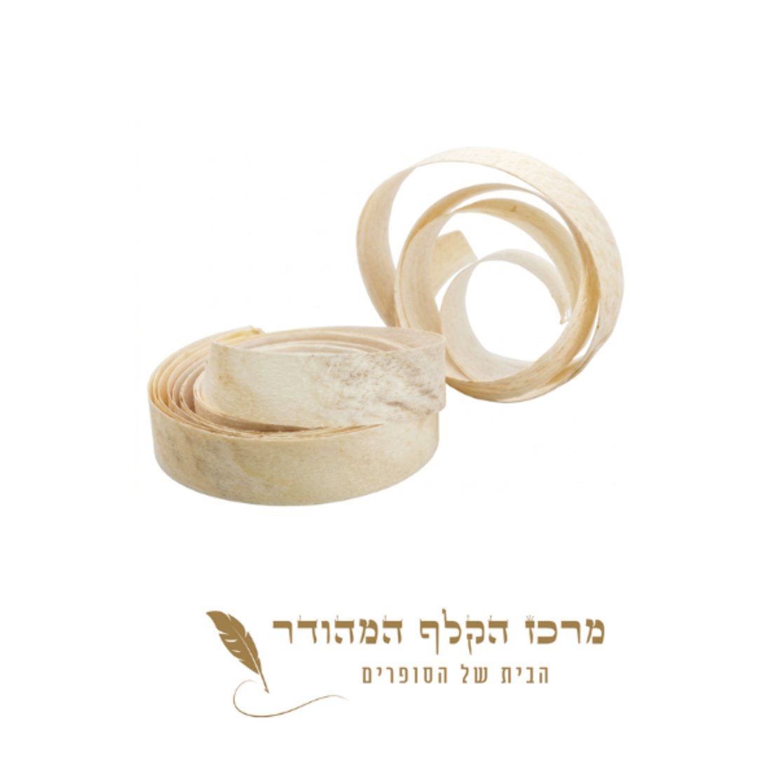 קלף תפילין מובחר ראש