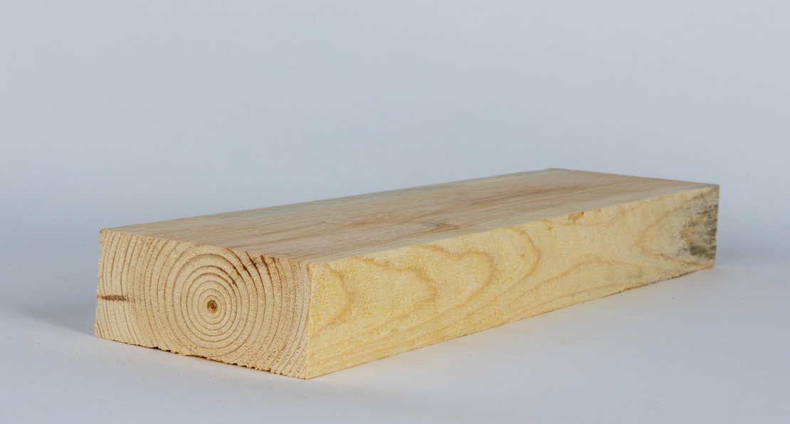 עץ לבן בניין 5/10