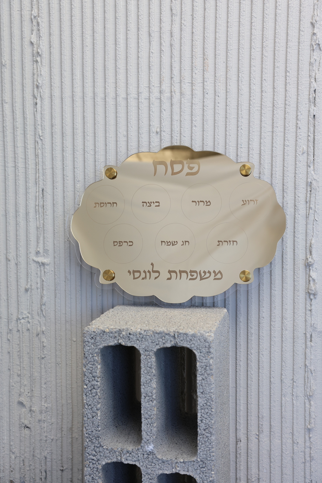 מגש פסח דגם פרימיום
