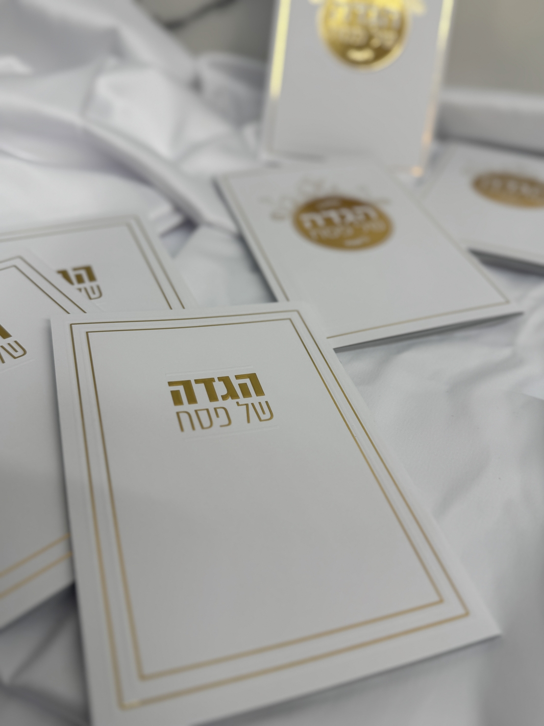 הגדה לפסח דגם קלאסי זהב / כסף