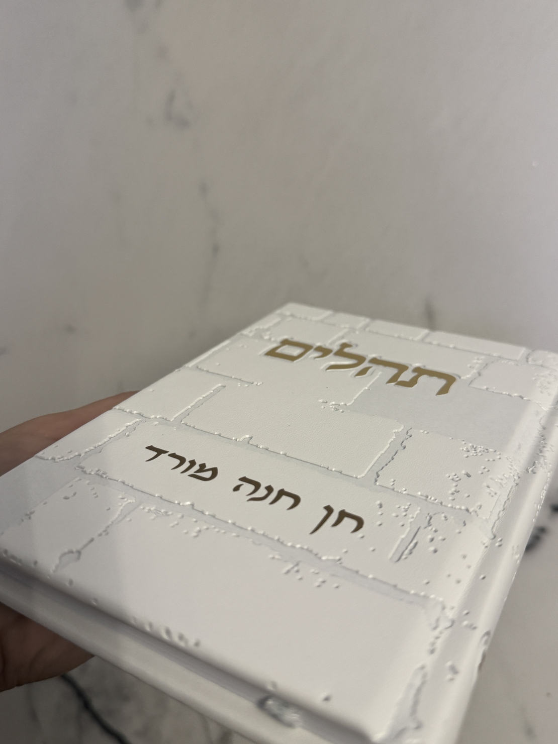 תהילים דגם 