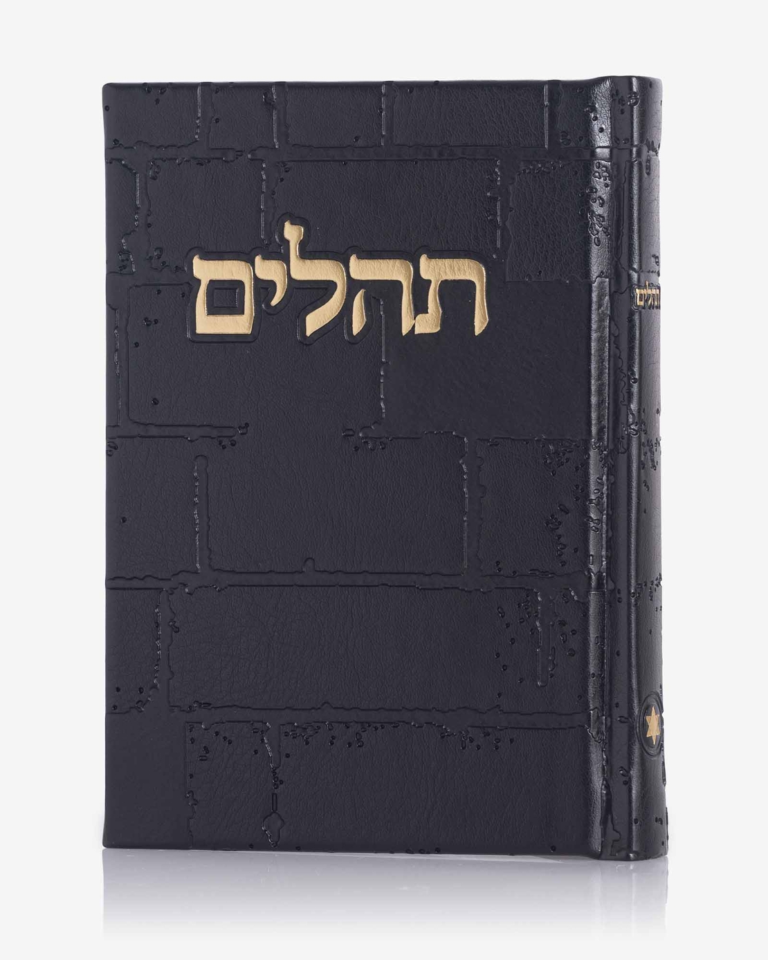 תהילים דגם 