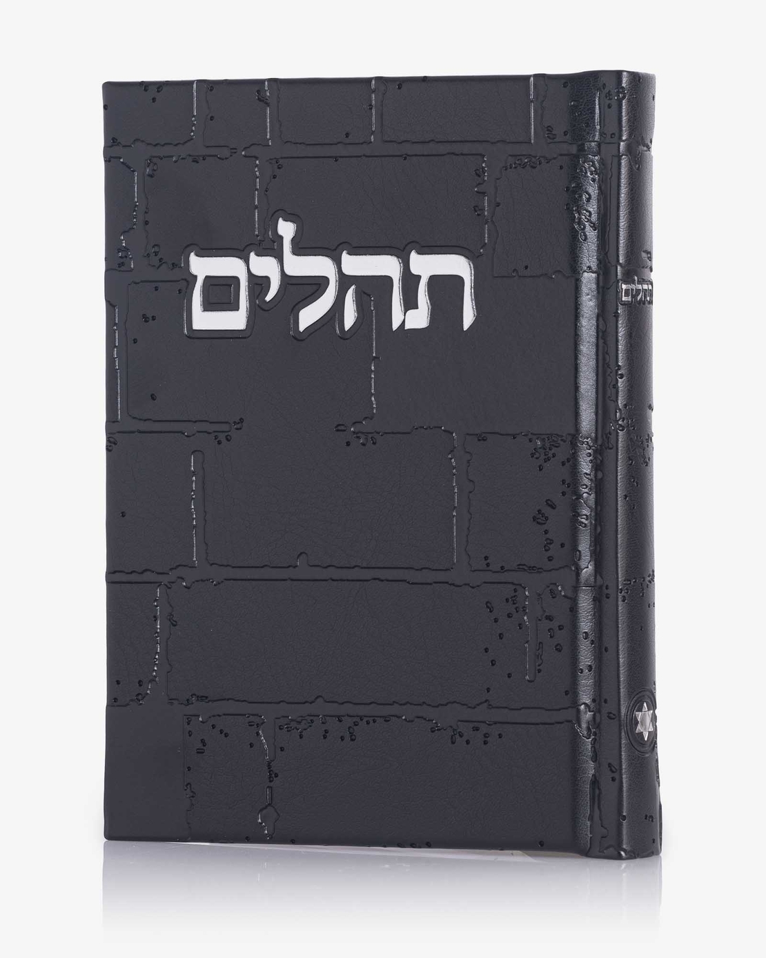 תהילים דגם 