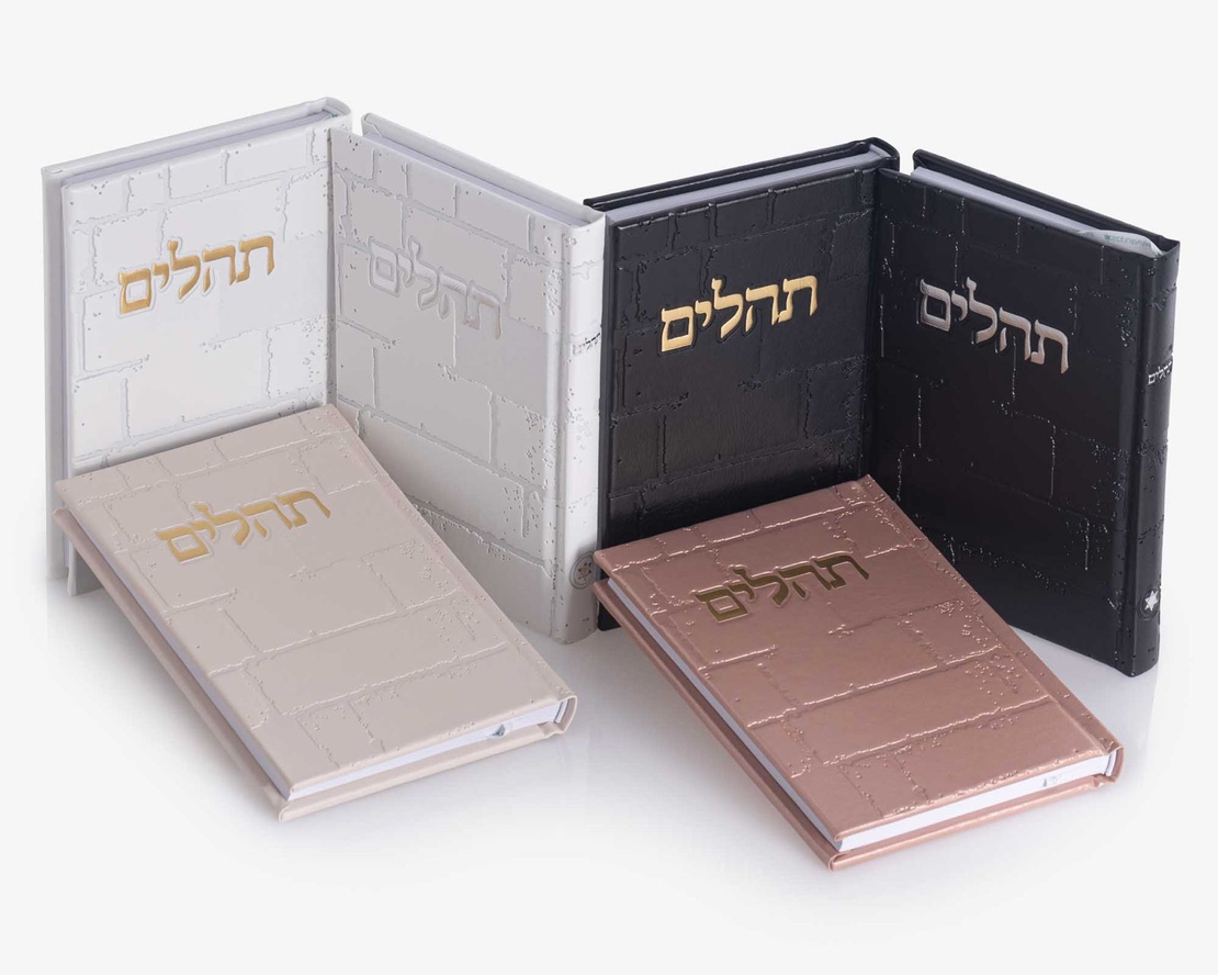 תהילים דגם 