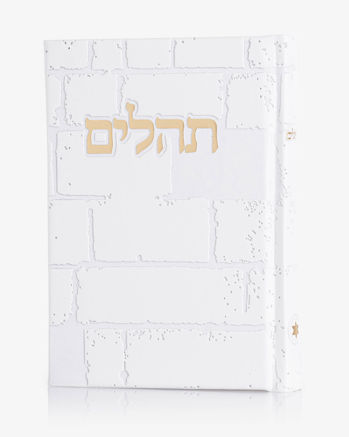 תהילים דגם 