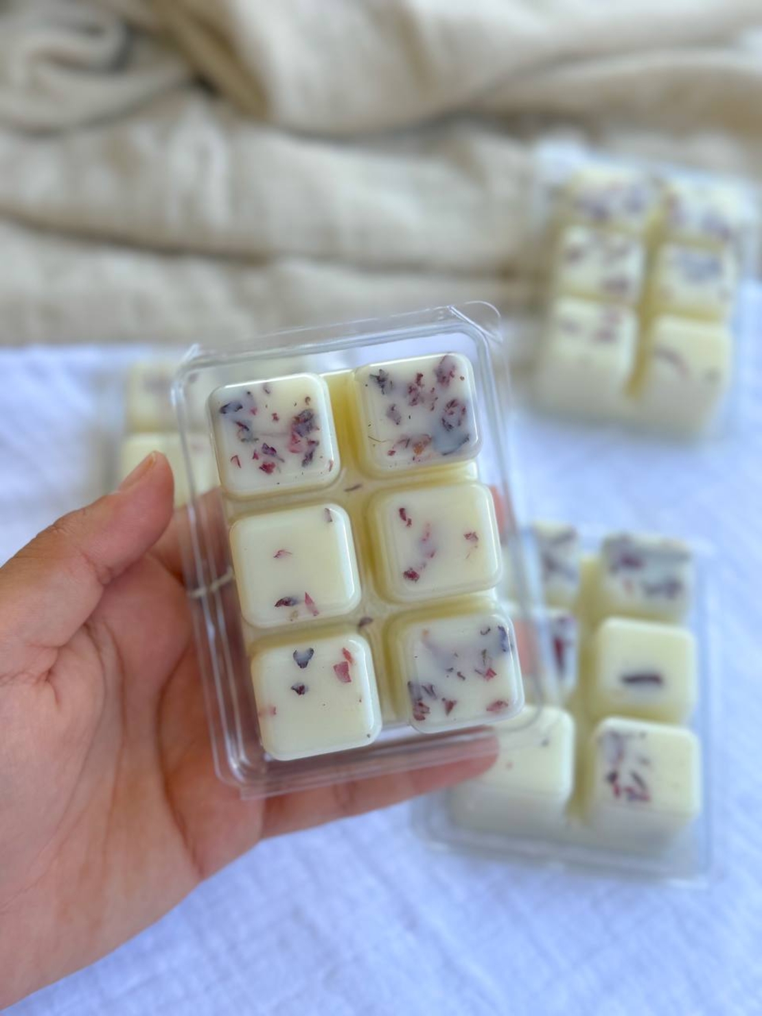 שעוונית Lavender
