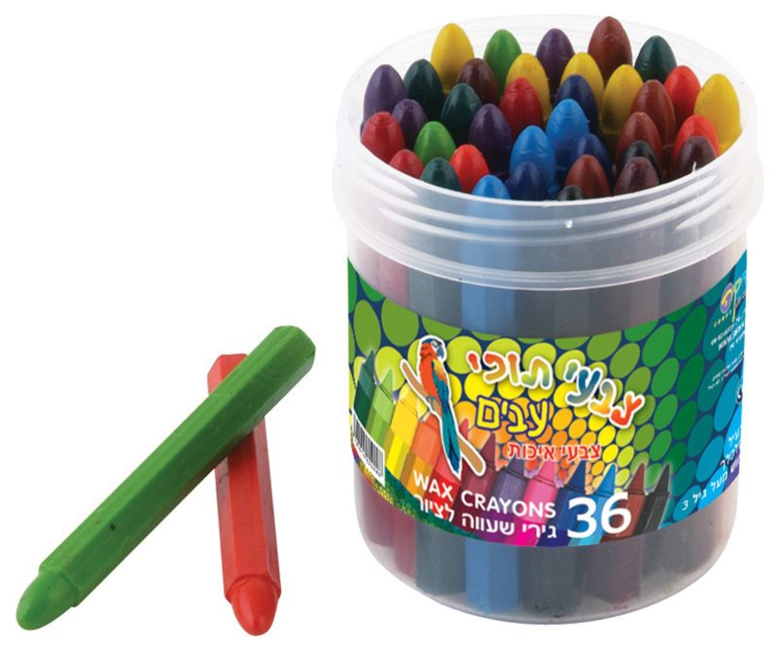 צבעי תוכי צבע עבה סט 36