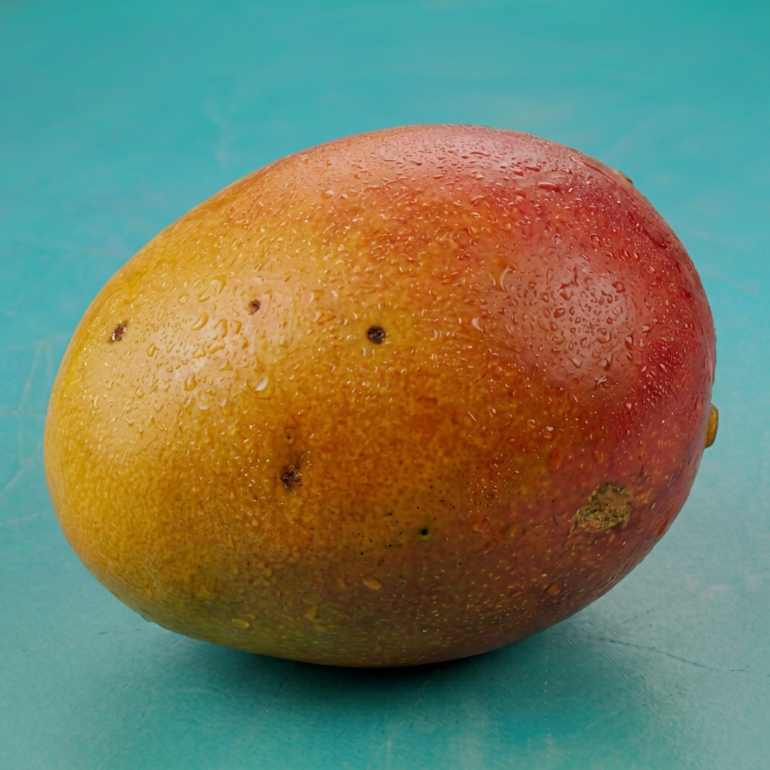 מנגו