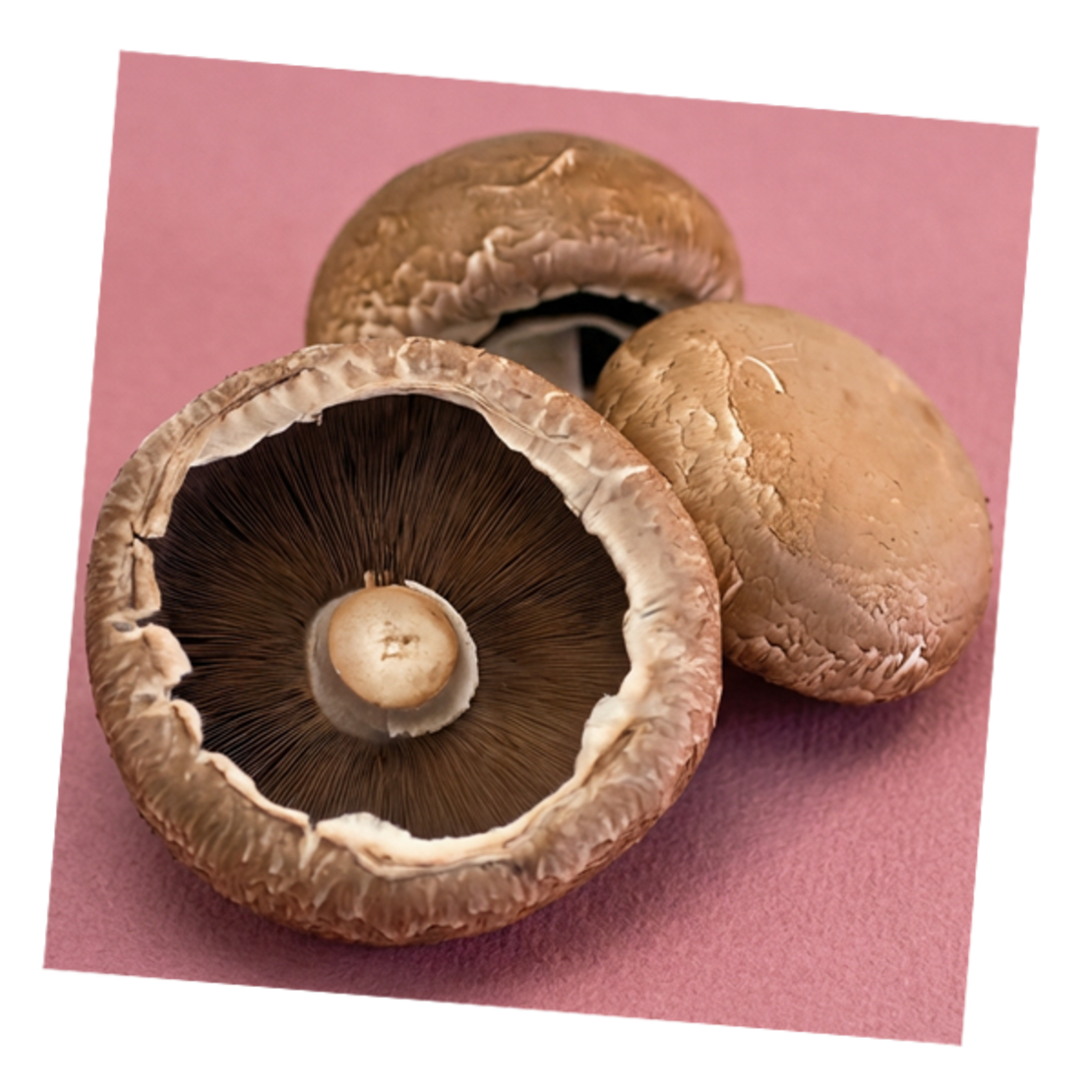 פטריות פורטבלה~