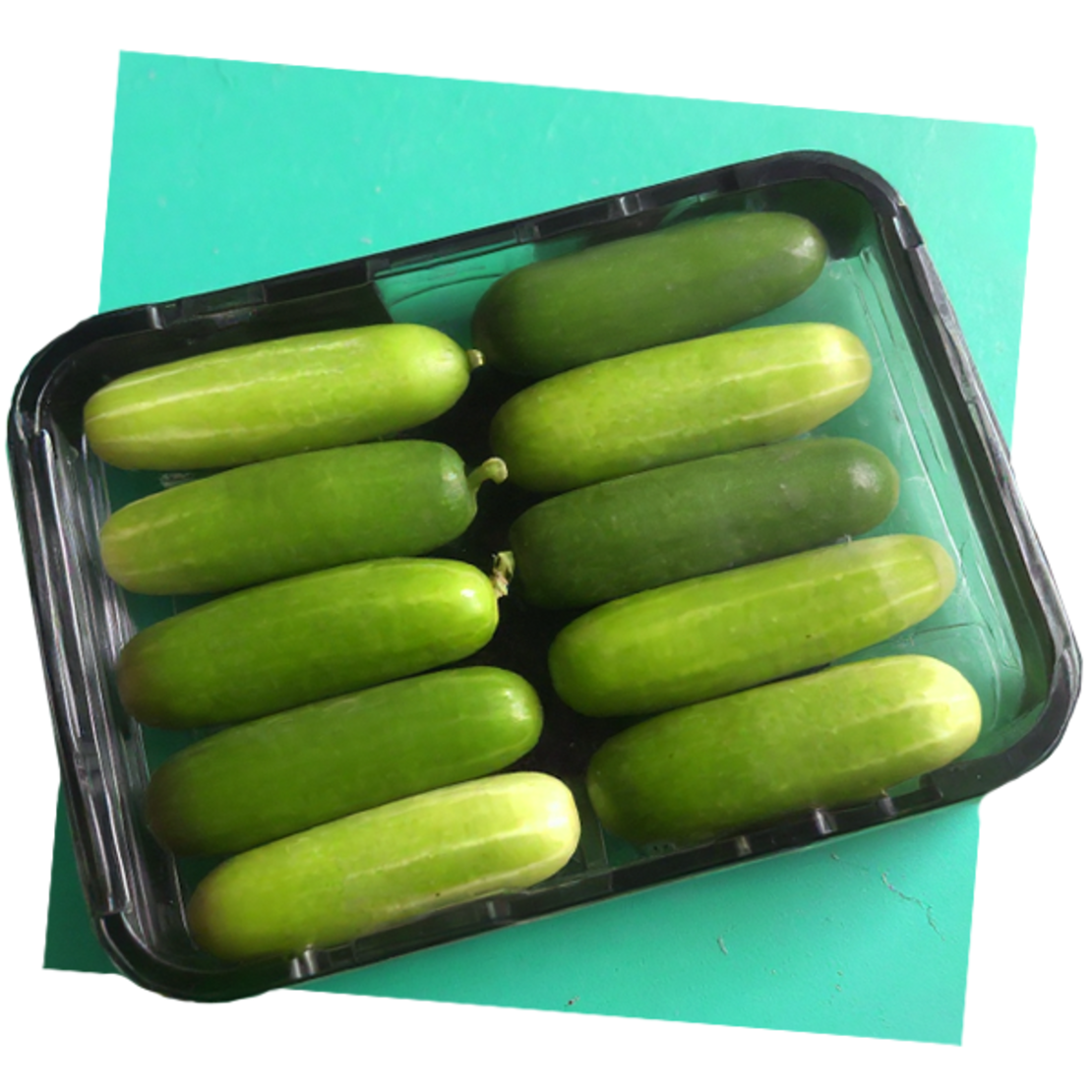 מלפפון בייבי - מארז