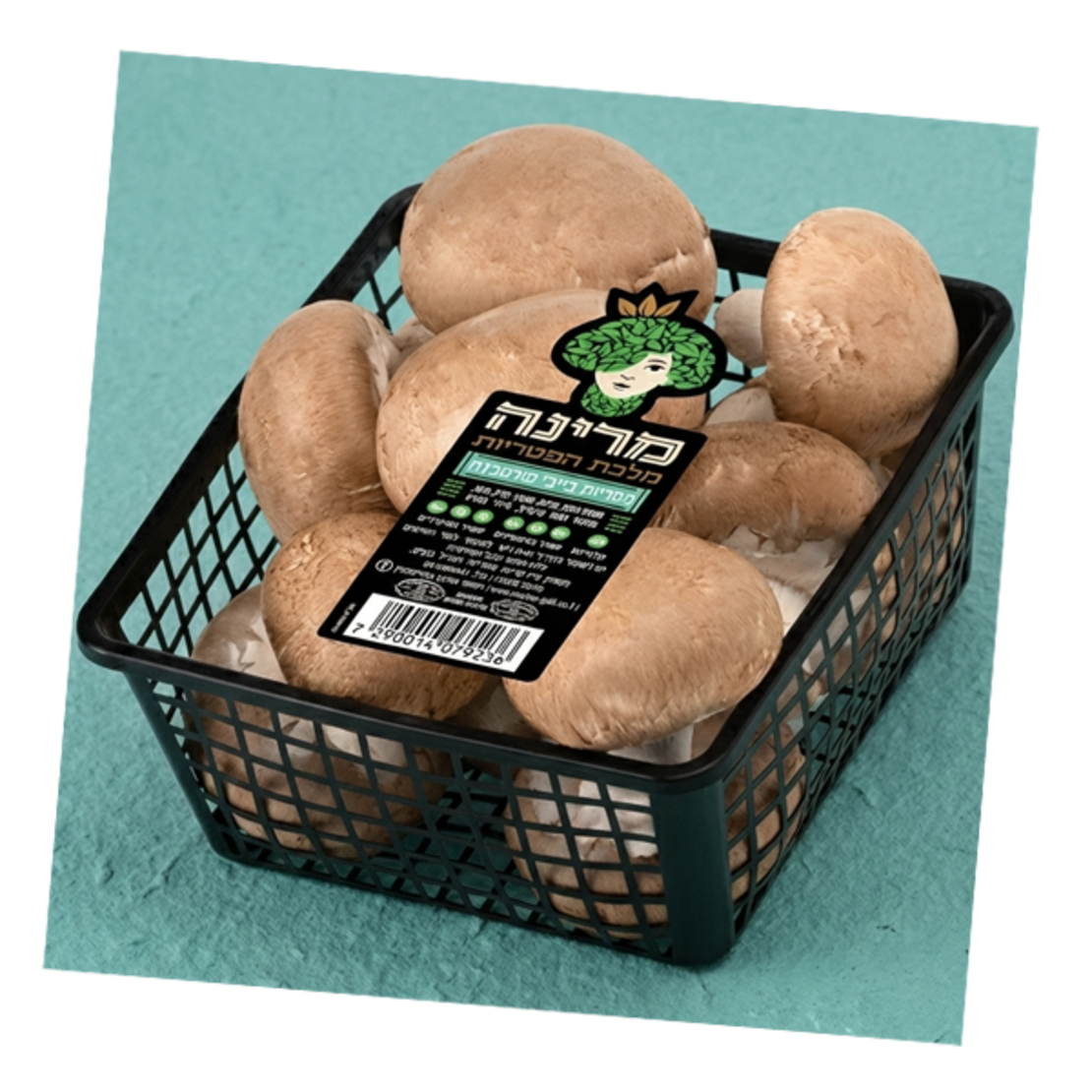 פטריות פורטובלו~